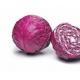 澳洲有機_紫椰菜 Purple cabbage