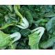有機(矮)白菜 Chinese white cabbage