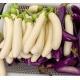 (混色)_有機茄子 Mix eggplant