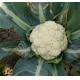 椰菜花(白色) Cauliflower